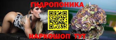 a pvp Пенза