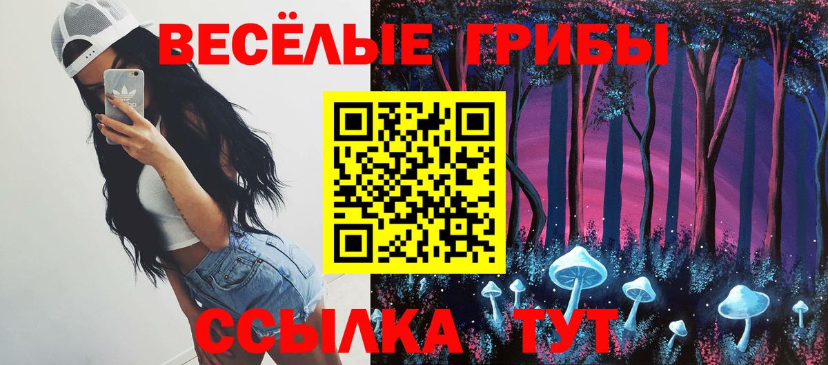 Галлюциногенные грибы мицелий  Вход с VPN  Полысаево 