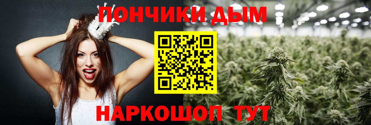 APVP Полысаево